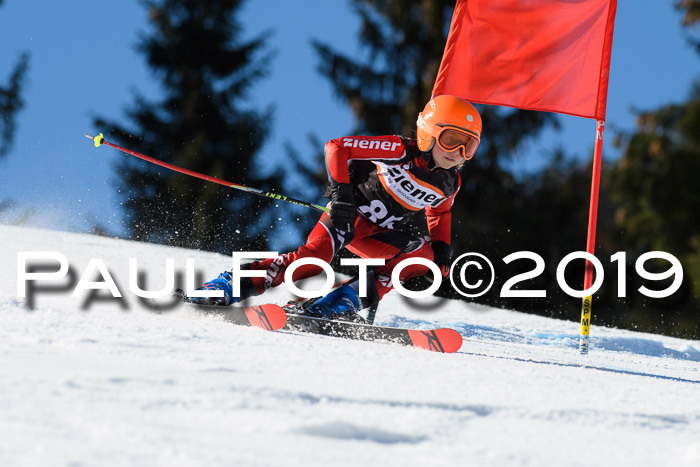 Ziener Cup WF, RS, 24.02.2019