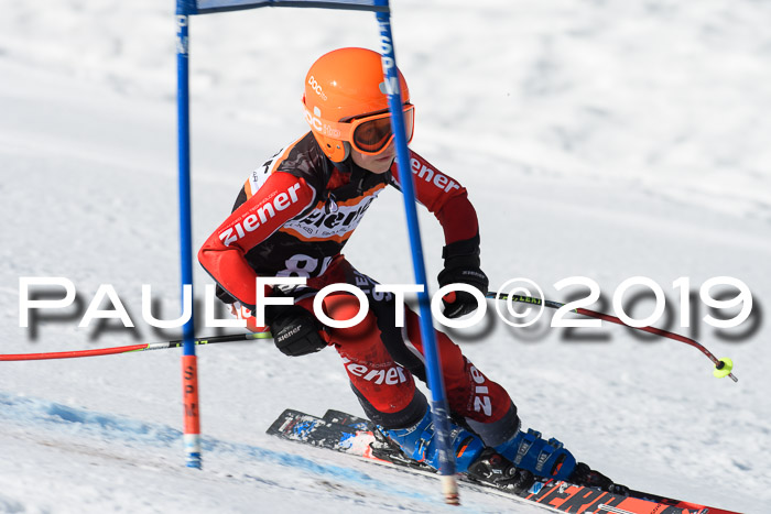 Ziener Cup WF, RS, 24.02.2019