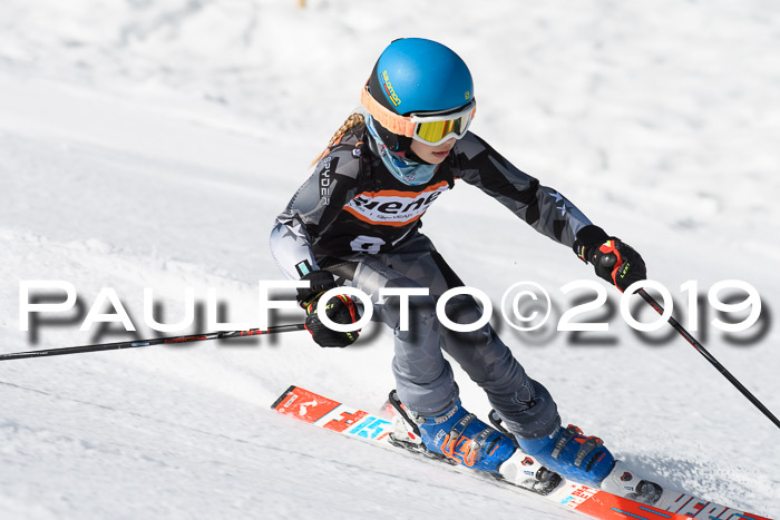 Ziener Cup WF, RS, 24.02.2019