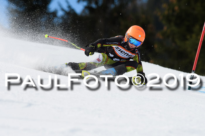 Ziener Cup WF, RS, 24.02.2019