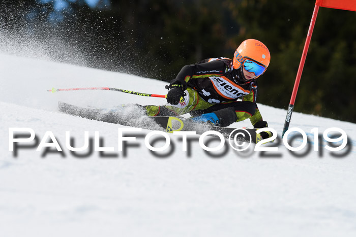 Ziener Cup WF, RS, 24.02.2019