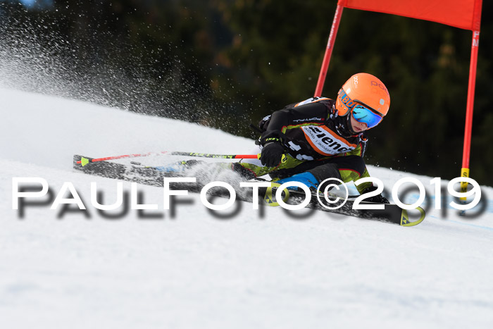 Ziener Cup WF, RS, 24.02.2019