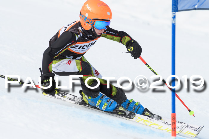 Ziener Cup WF, RS, 24.02.2019