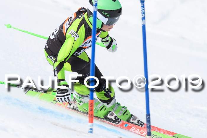 Ziener Cup WF, RS, 24.02.2019