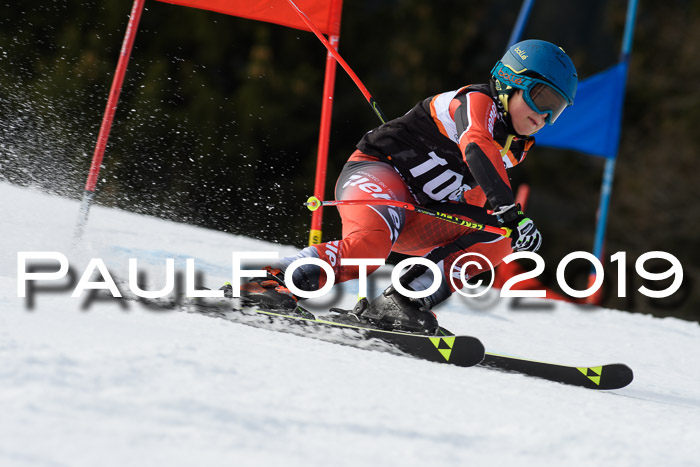 Ziener Cup WF, RS, 24.02.2019