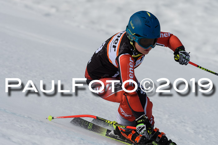 Ziener Cup WF, RS, 24.02.2019