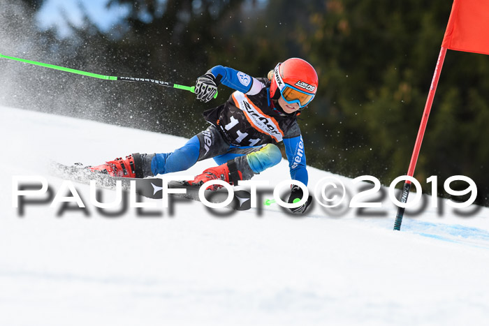 Ziener Cup WF, RS, 24.02.2019