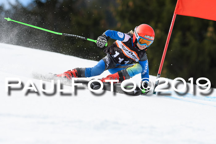 Ziener Cup WF, RS, 24.02.2019