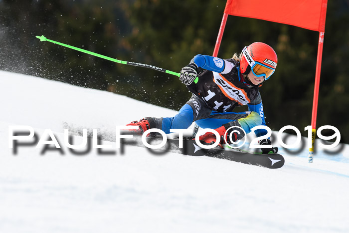 Ziener Cup WF, RS, 24.02.2019