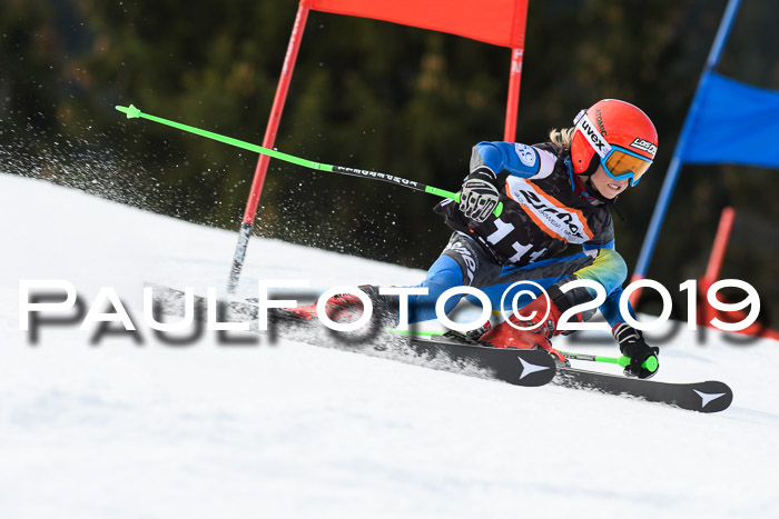 Ziener Cup WF, RS, 24.02.2019