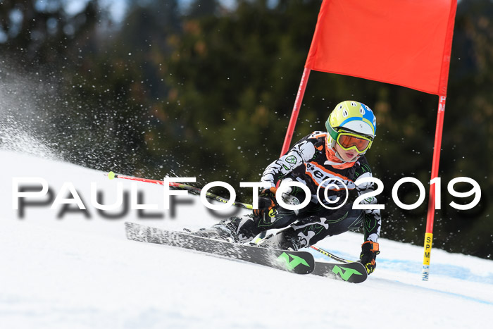 Ziener Cup WF, RS, 24.02.2019