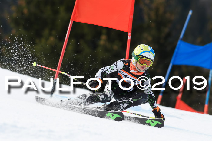 Ziener Cup WF, RS, 24.02.2019