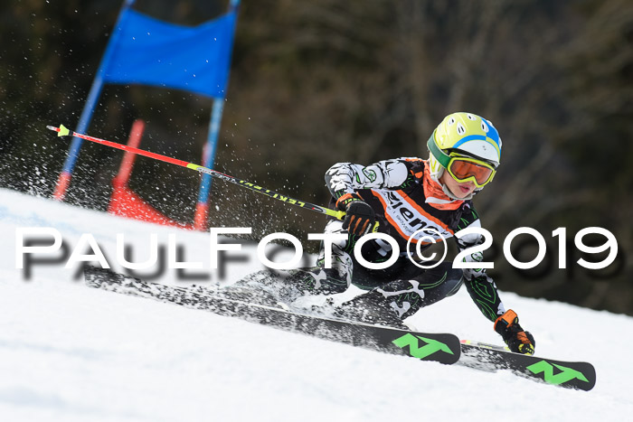 Ziener Cup WF, RS, 24.02.2019