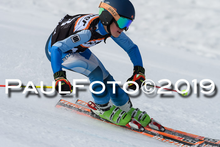 Ziener Cup WF, RS, 24.02.2019