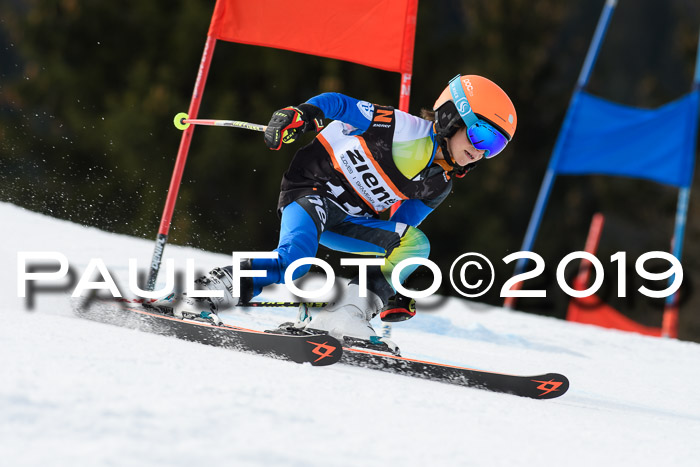 Ziener Cup WF, RS, 24.02.2019