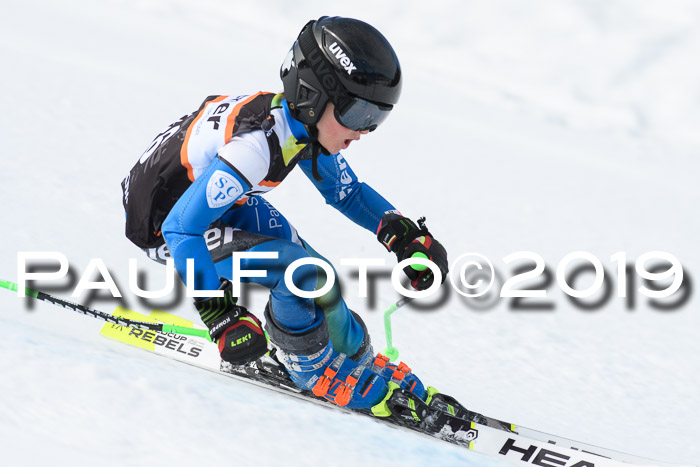 Ziener Cup WF, RS, 24.02.2019