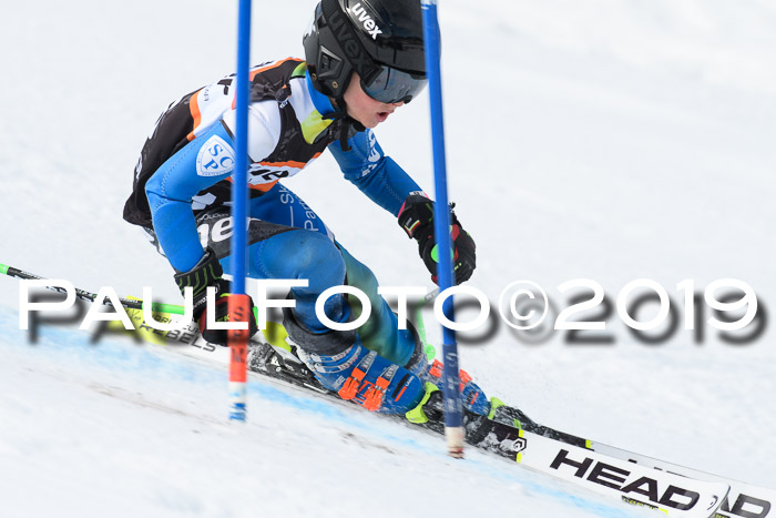 Ziener Cup WF, RS, 24.02.2019