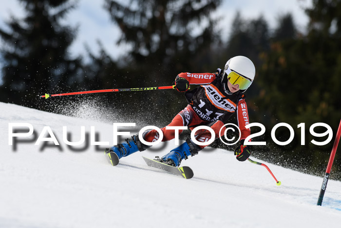 Ziener Cup WF, RS, 24.02.2019