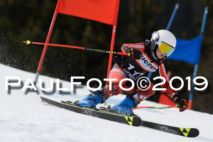 Ziener Cup WF, RS, 24.02.2019