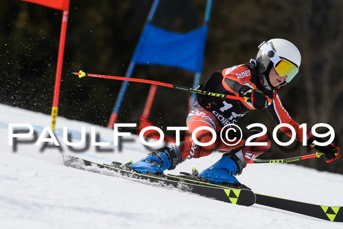 Ziener Cup WF, RS, 24.02.2019