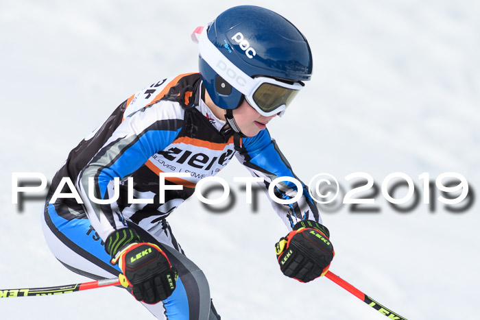 Ziener Cup WF, RS, 24.02.2019