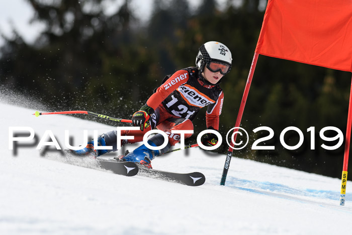 Ziener Cup WF, RS, 24.02.2019