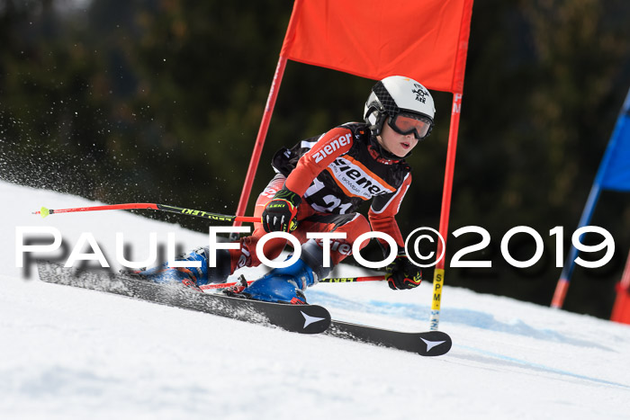 Ziener Cup WF, RS, 24.02.2019