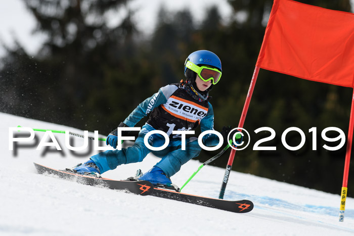 Ziener Cup WF, RS, 24.02.2019