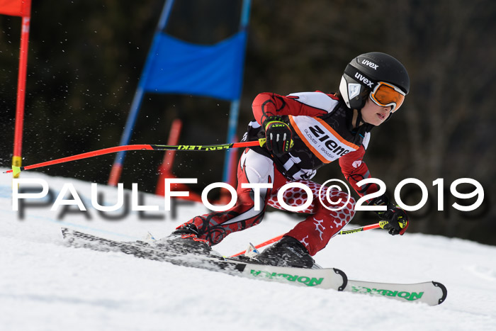 Ziener Cup WF, RS, 24.02.2019