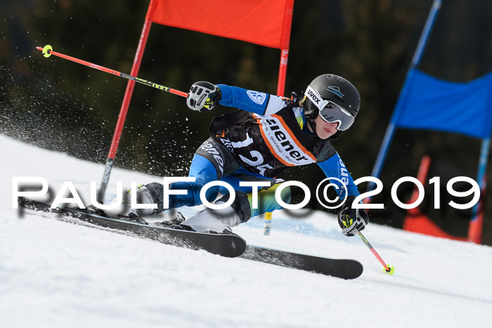 Ziener Cup WF, RS, 24.02.2019