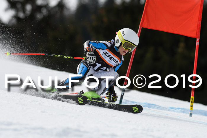 Ziener Cup WF, RS, 24.02.2019