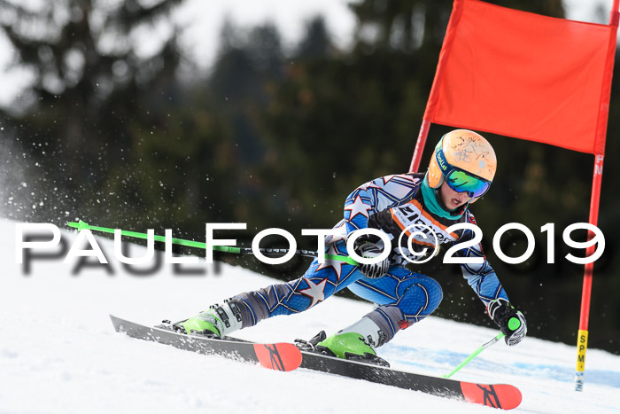 Ziener Cup WF, RS, 24.02.2019