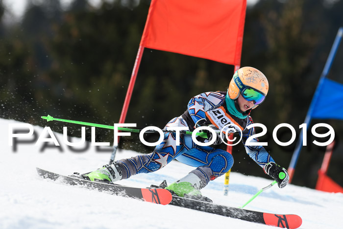 Ziener Cup WF, RS, 24.02.2019