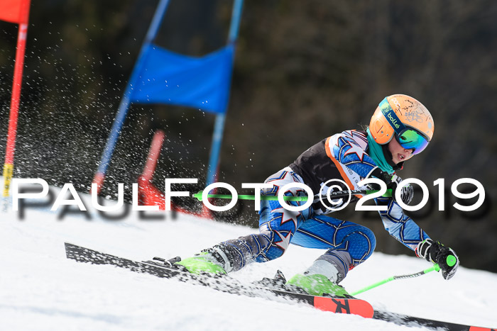 Ziener Cup WF, RS, 24.02.2019