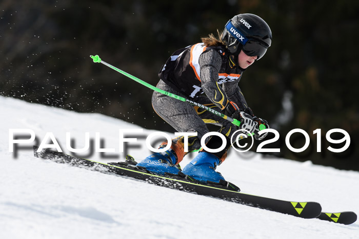 Ziener Cup WF, RS, 24.02.2019