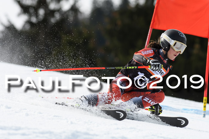 Ziener Cup WF, RS, 24.02.2019