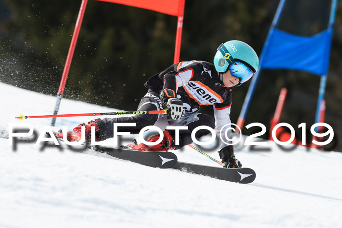 Ziener Cup WF, RS, 24.02.2019