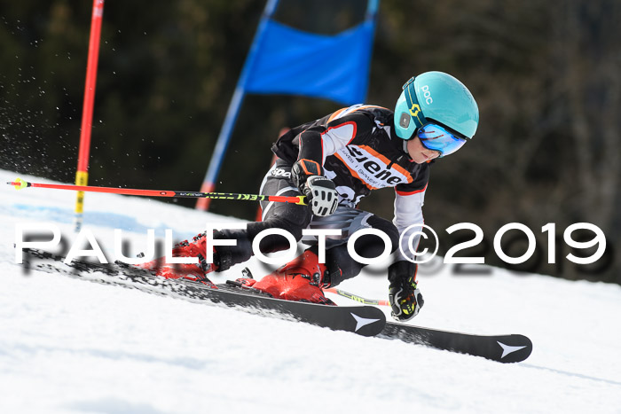 Ziener Cup WF, RS, 24.02.2019