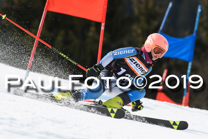 Ziener Cup WF, RS, 24.02.2019