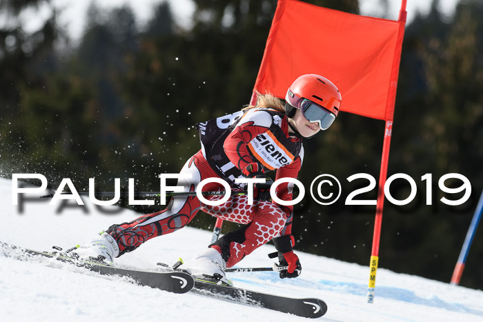 Ziener Cup WF, RS, 24.02.2019