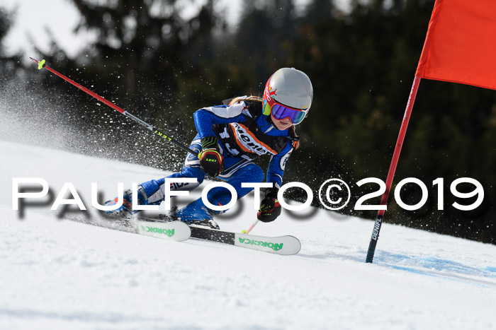 Ziener Cup WF, RS, 24.02.2019