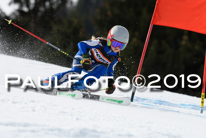 Ziener Cup WF, RS, 24.02.2019