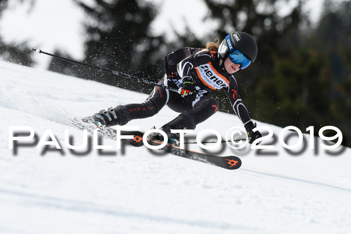 Ziener Cup WF, RS, 24.02.2019