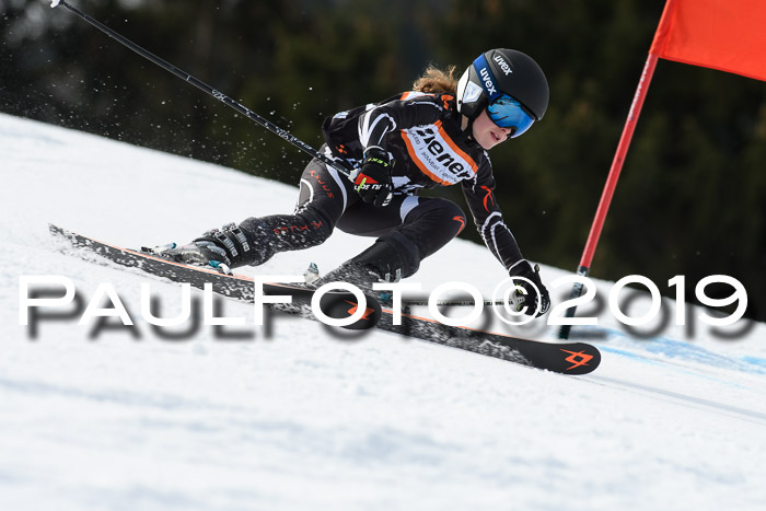 Ziener Cup WF, RS, 24.02.2019