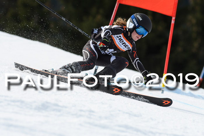 Ziener Cup WF, RS, 24.02.2019