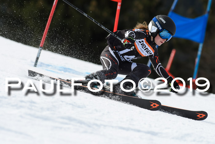 Ziener Cup WF, RS, 24.02.2019