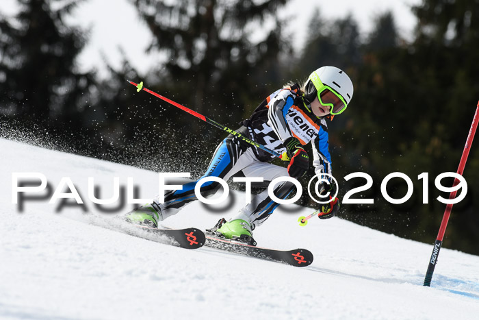 Ziener Cup WF, RS, 24.02.2019