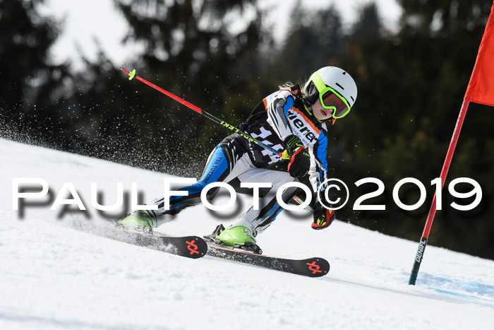 Ziener Cup WF, RS, 24.02.2019