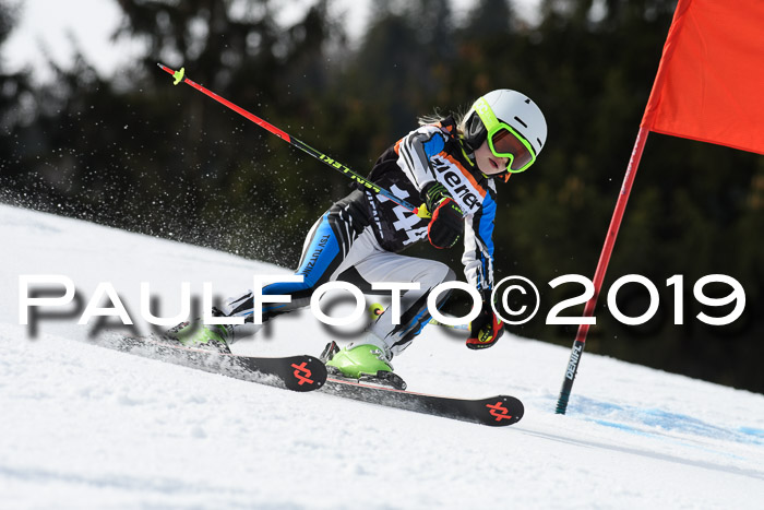 Ziener Cup WF, RS, 24.02.2019