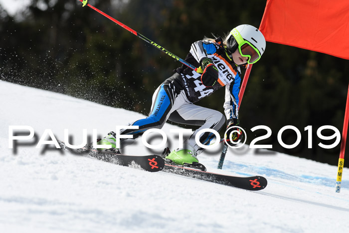 Ziener Cup WF, RS, 24.02.2019